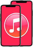 iPhone 11 Pro просит подключить к iTunes