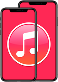 iPhone XS\XS Max просит подключить к iTunes