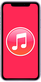 iPhone 11 просит подключить к iTunes