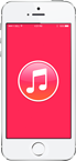 iPhone 5S просит подключить к iTunes