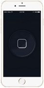 iPhone 6S Plus замена кнопок