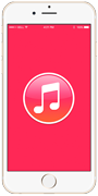 iPhone 6S Plus просит подключить к iTunes