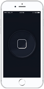 iPhone 8 Plus замена кнопок