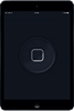 iPad mini 3 замена кнопок